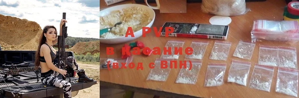 СК Алзамай