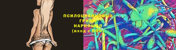 ешки Алексин