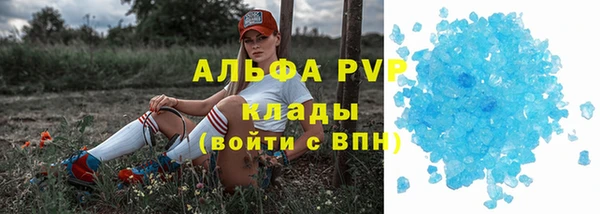 ешки Алексин